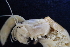  ( - ESS-B-133)  @11 [ ] cc-by-sa (2024) Oceanographic Research Institute Oceanographic Research Institute