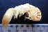  ( - ESS-B-134-A)  @11 [ ] cc-by-sa (2024) Oceanographic Research Institute Oceanographic Research Institute