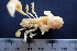  ( - ESS-B-134-A)  @11 [ ] cc-by-sa (2024) Oceanographic Research Institute Oceanographic Research Institute