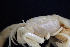  ( - ESS-B-134-B)  @11 [ ] cc-by-sa (2024) Oceanographic Research Institute Oceanographic Research Institute