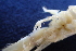  ( - ESS-B-360)  @11 [ ] cc-by-sa (2024) Oceanographic Research Institute Oceanographic Research Institute