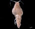  ( - ESS-B-373)  @11 [ ] cc-by-sa (2024) Oceanographic Research Institute Oceanographic Research Institute