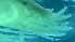  ( - ESS-B-562)  @11 [ ] cc-by-sa (2024) Oceanographic Research Institute Oceanographic Research Institute