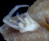  ( - ESS-B-576)  @11 [ ] cc-by-sa (2024) Oceanographic Research Institute Oceanographic Research Institute