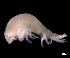  ( - ESS-B-990)  @11 [ ] cc-by-sa (2024) Oceanographic Research Institute Oceanographic Research Institute