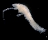  ( - ESS-B-992)  @11 [ ] cc-by-sa (2024) Oceanographic Research Institute Oceanographic Research Institute