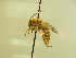  ( - BL413.3)  @11 [ ] CreativeCommons  Attribution (Briana Lindh) (2020) Briana Lindh Willamette University