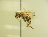  ( - BL415.3)  @11 [ ] CreativeCommons  Attribution (Briana Lindh) (2020) Briana Lindh Willamette University
