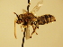  ( - BL419.6)  @11 [ ] CreativeCommons  Attribution (Briana Lindh) (2020) Briana Lindh Willamette University