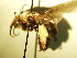  ( - BL438.2)  @11 [ ] CreativeCommons  Attribution (Briana Lindh) (2020) Briana Lindh Willamette University