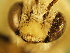  ( - BL450.1)  @11 [ ] CreativeCommons  Attribution (Briana Lindh) (2020) Briana Lindh Willamette University