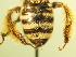  ( - BL504.1)  @11 [ ] CreativeCommons  Attribution (Briana Lindh) (2020) Briana Lindh Willamette University