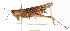  ( - BIOUG01998-A09)  @14 [ ] CreativeCommons - Attribution (2012) CBG Photography Group Centre for Biodiversity Genomics