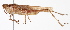  ( - BIOUG01998-A12)  @14 [ ] CreativeCommons - Attribution (2012) CBG Photography Group Centre for Biodiversity Genomics