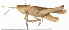  ( - BIOUG01998-B03)  @14 [ ] CreativeCommons - Attribution (2012) CBG Photography Group Centre for Biodiversity Genomics