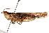  ( - BIOUG01998-B06)  @14 [ ] CreativeCommons - Attribution (2012) CBG Photography Group Centre for Biodiversity Genomics