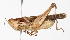  ( - BIOUG01998-C03)  @15 [ ] CreativeCommons - Attribution (2012) CBG Photography Group Centre for Biodiversity Genomics