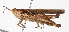  ( - BIOUG01998-C04)  @15 [ ] CreativeCommons - Attribution (2012) CBG Photography Group Centre for Biodiversity Genomics