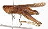  ( - BIOUG01998-C07)  @14 [ ] CreativeCommons - Attribution (2012) CBG Photography Group Centre for Biodiversity Genomics