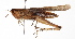  ( - BIOUG01998-C11)  @14 [ ] CreativeCommons - Attribution (2012) CBG Photography Group Centre for Biodiversity Genomics