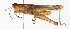  ( - BIOUG01998-D01)  @14 [ ] CreativeCommons - Attribution (2012) CBG Photography Group Centre for Biodiversity Genomics
