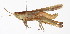  ( - BIOUG01998-D02)  @14 [ ] CreativeCommons - Attribution (2012) CBG Photography Group Centre for Biodiversity Genomics