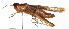  ( - BIOUG01998-E05)  @14 [ ] CreativeCommons - Attribution (2012) CBG Photography Group Centre for Biodiversity Genomics