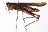  ( - BIOUG01998-F01)  @14 [ ] CreativeCommons - Attribution (2012) CBG Photography Group Centre for Biodiversity Genomics