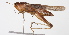  ( - BIOUG01998-H06)  @14 [ ] CreativeCommons - Attribution (2012) CBG Photography Group Centre for Biodiversity Genomics