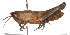  ( - BIOUG01998-H08)  @14 [ ] CreativeCommons - Attribution (2012) CBG Photography Group Centre for Biodiversity Genomics