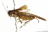  ( - BIOUG02005-C10)  @14 [ ] CreativeCommons - Attribution (2013) CBG Photography Group Centre for Biodiversity Genomics