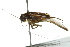  ( - BIOUG01999-G09)  @14 [ ] CreativeCommons - Attribution (2012) CBG Photography Group Centre for Biodiversity Genomics