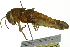  ( - BIOUG02000-H04)  @14 [ ] CreativeCommons - Attribution (2012) CBG Photography Group Centre for Biodiversity Genomics