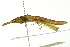  ( - BIOUG02001-A11)  @13 [ ] CreativeCommons - Attribution (2012) CBG Photography Group Centre for Biodiversity Genomics