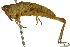  ( - BIOUG02001-C04)  @15 [ ] CreativeCommons - Attribution (2012) CBG Photography Group Centre for Biodiversity Genomics