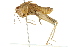  ( - BIOUG02003-C07)  @14 [ ] CreativeCommons - Attribution (2012) CBG Photography Group Centre for Biodiversity Genomics