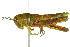 ( - BIOUG02003-D04)  @14 [ ] CreativeCommons - Attribution (2012) CBG Photography Group Centre for Biodiversity Genomics