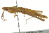  ( - BIOUG02003-F11)  @13 [ ] CreativeCommons - Attribution (2012) CBG Photography Group Centre for Biodiversity Genomics