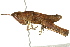  ( - BIOUG02003-H07)  @15 [ ] CreativeCommons - Attribution (2012) CBG Photography Group Centre for Biodiversity Genomics