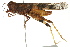  ( - BIOUG02004-B12)  @15 [ ] CreativeCommons - Attribution (2012) CBG Photography Group Centre for Biodiversity Genomics