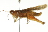  ( - BIOUG02004-G09)  @15 [ ] CreativeCommons - Attribution (2012) CBG Photography Group Centre for Biodiversity Genomics