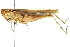 ( - BIOUG01997-H05)  @14 [ ] CreativeCommons - Attribution (2012) CBG Photography Group Centre for Biodiversity Genomics