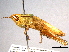  ( - BIOUG01933-G11)  @13 [ ] CreativeCommons - Attribution (2012) CBG Photography Group Centre for Biodiversity Genomics