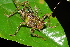  ( - ORTH0073_z)  @11 [ ] No Rights Reserved (2024) Nico Bluthgen Technische Universitat Darmstadt