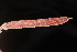  ( - OSBAR000039)  @11 [ ] Copyright (2014) Florida Museum of Natural History Florida Museum of Natural History
