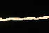  ( - OSBAR000054)  @11 [ ] Copyright (2014) Florida Museum of Natural History Florida Museum of Natural History