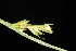  ( - OSBAR000087)  @11 [ ] Copyright (2014) Florida Museum of Natural History Florida Museum of Natural History