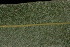  ( - OSBAR000106)  @11 [ ] Copyright (2014) Florida Museum of Natural History Florida Museum of Natural History