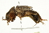  ( - BIOUG00918-E10)  @14 [ ] CreativeCommons - Attribution (2011) CBG Photography Group Centre for Biodiversity Genomics