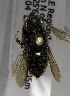  (Megachile flammiventris - CHL-0070)  @13 [ ] CreativeCommons - Attribution Non-Commercial Share-Alike (2010) Unspecified York University